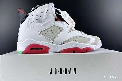 Jordan 6 CT8529-062 Air “Hare” Minimalist 675 0918